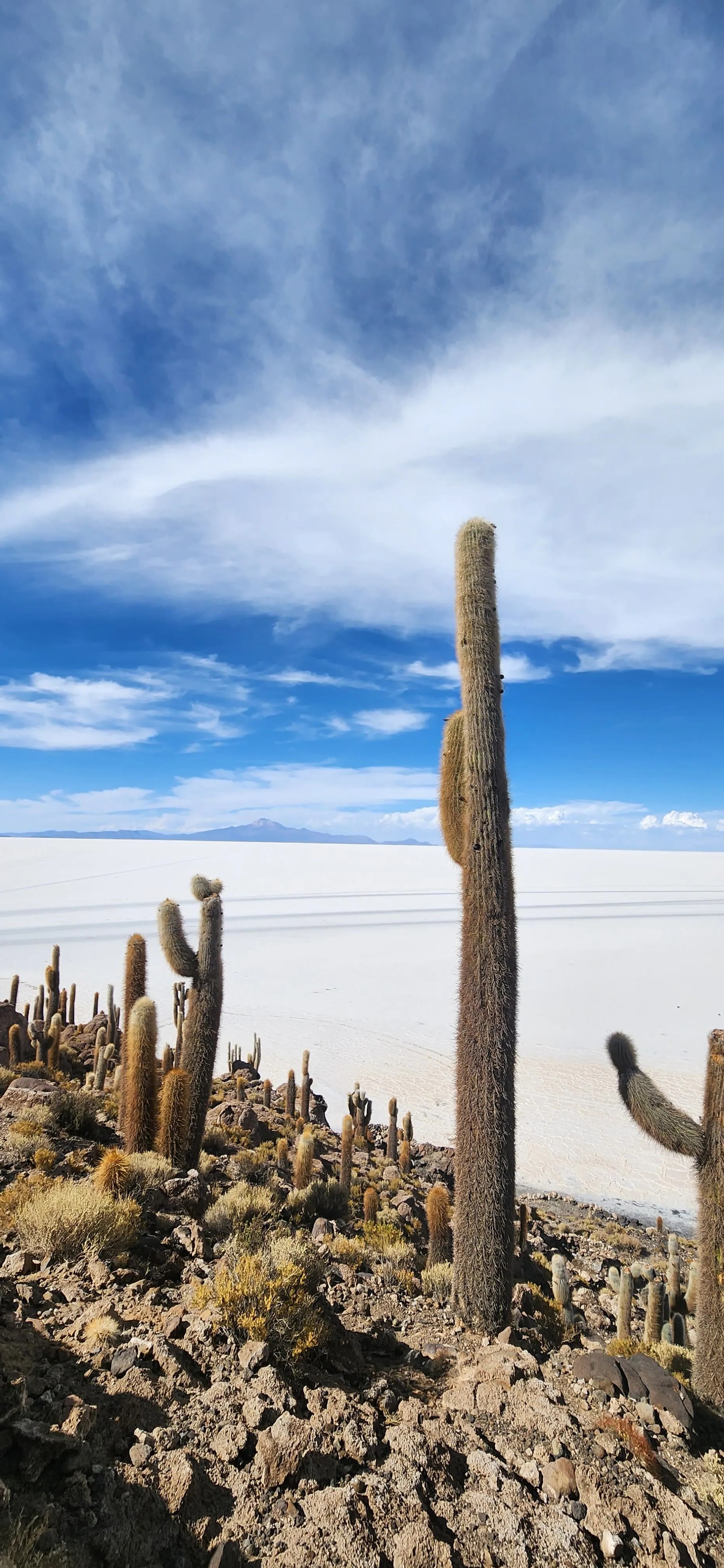 Salar de Uyuni 3 días 4